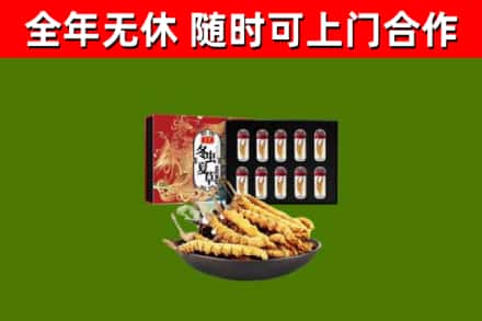 明山回收冬虫夏草价格